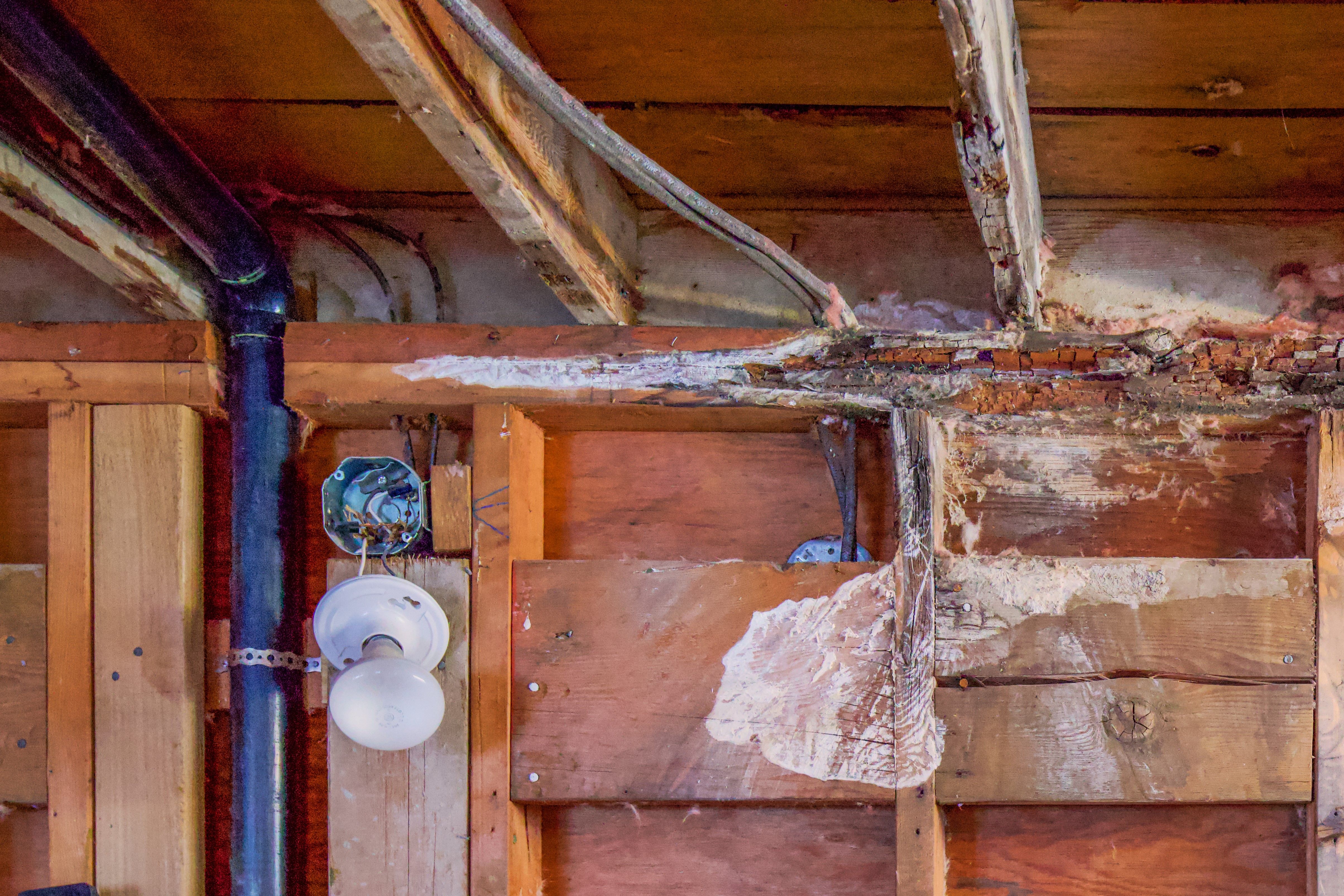 dry-rot-bathroom-wall-2024-11-26-10-38-05-utc